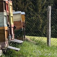 Bienenstände im Bergischen Land