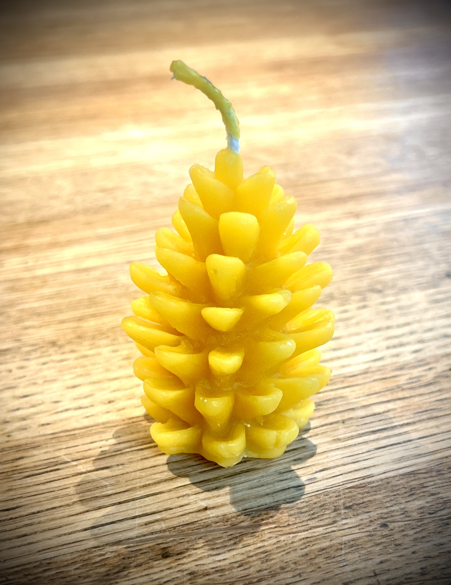 Bienenwachskerze Zapfen